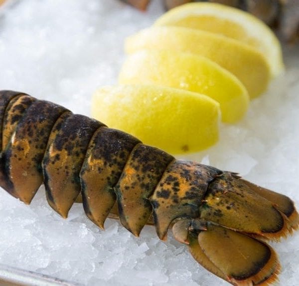 lobstertails